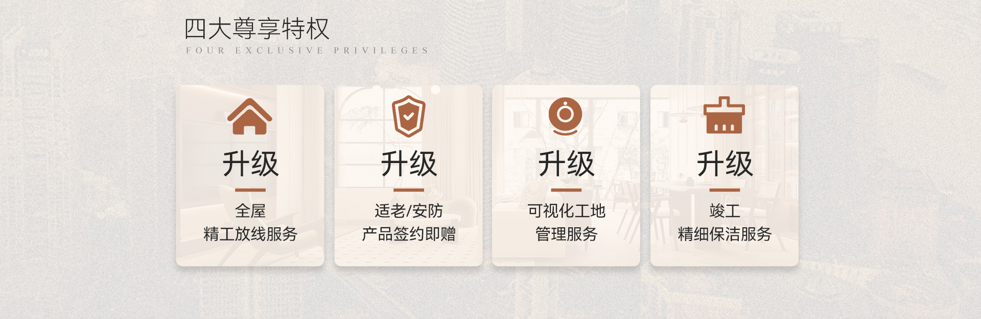 活动8