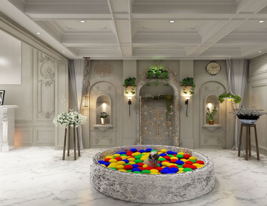 1772089253425132phQB.jpg 17690696069282slfe9.jpg